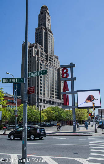 FT Greene-BAM, photo by Anna Kader